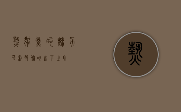 热带鱼的魅力，色彩斑斓的水下世界