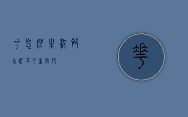花怎么生根快（怎么使花生根快）