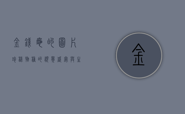 金钱龟的图片，珍稀物种的视觉盛宴与生态保护