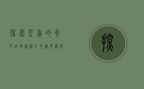 探索笠螺的奇妙世界，从图片中窥见海洋的微观美学