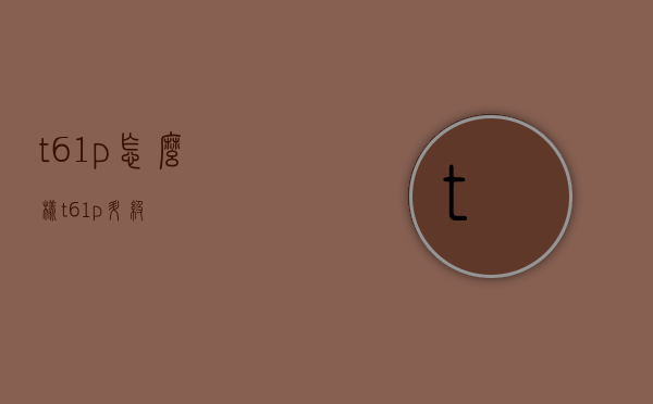 t61p怎么样（t61p升级）