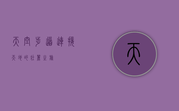 天空步道，连接天地的壮丽之旅
