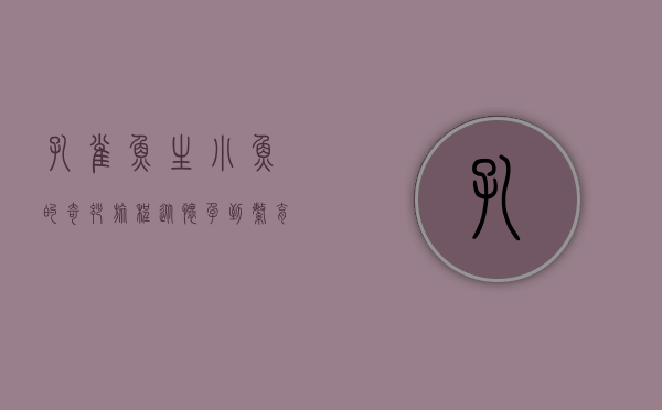 孔雀鱼生小鱼的奇妙旅程,从怀孕到繁育的全面指南 孔雀鱼生小鱼的奇妙旅程,从怀孕到繁育的全面指南