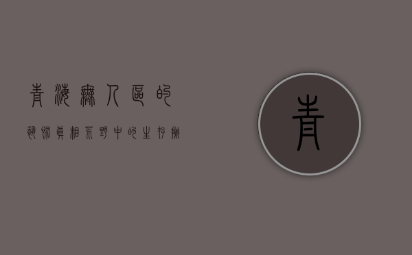 青海无人区的恐怖真相，荒野中的生存挑战与未知恐惧