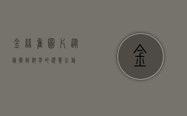 金丝雀图片，从艺术到科学的视觉之旅