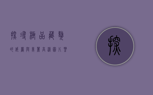 探寻极品藏獒的威严与美丽—高清图片鉴赏与深度解析 探寻极品藏獒的威严与美丽—高清图片鉴赏与深度解析