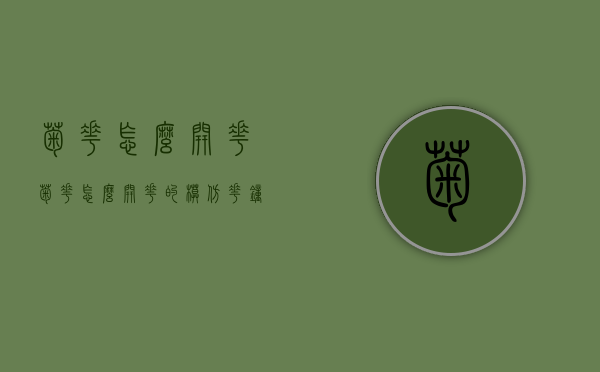 菊花怎么开花（菊花怎么开花的模仿花钟）