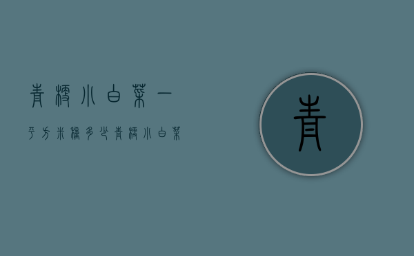 青梗小白菜一平方米种多少（青梗小白菜一平方米种多少斤）