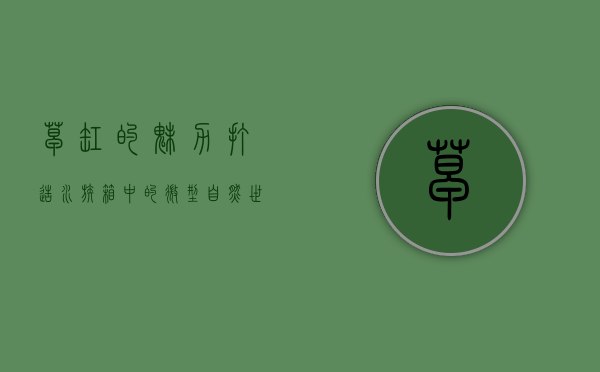 草缸的魅力，打造水族箱中的微型自然世界