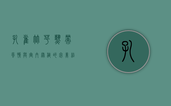 孔雀竹芋，热带风情与室内绿植的完美结合