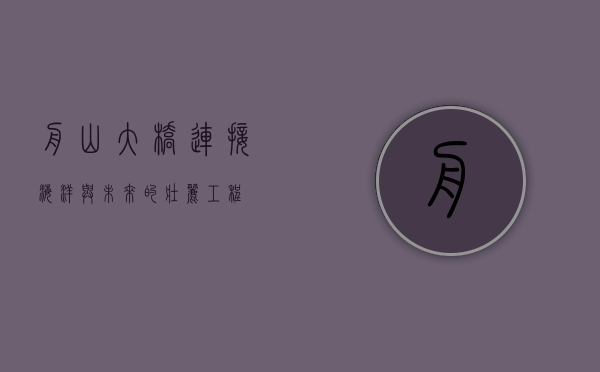舟山大桥，连接海洋与未来的壮丽工程