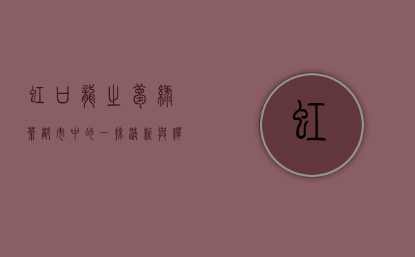 虹口龙之梦绿茶，都市中的一抹清新与禅意