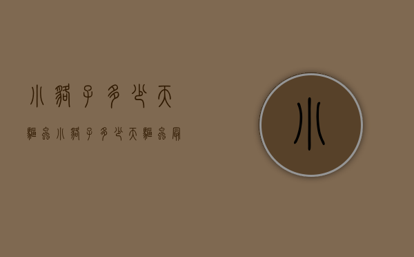 小貉子多少天驱虫（小貉子多少天驱虫最好）