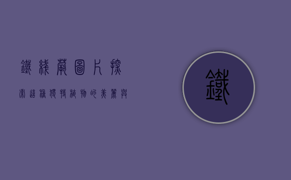 铁线蕨图片，探索这种独特植物的美丽与奥秘