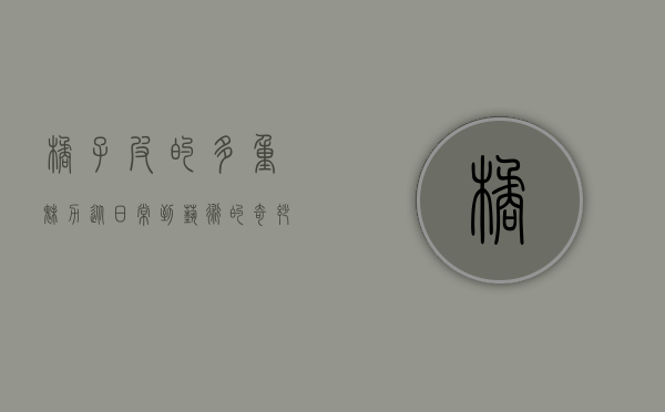 橘子皮的多重魅力，从日常到艺术的奇妙旅程