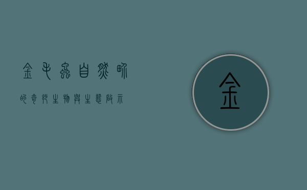 金毛虫，自然界的奇妙生物与生态启示