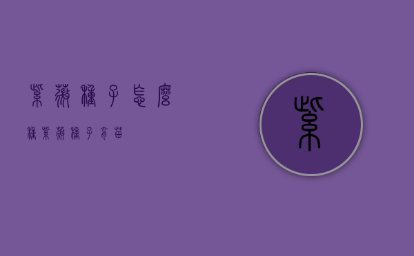 紫薇种子怎么种（紫薇种子育苗）