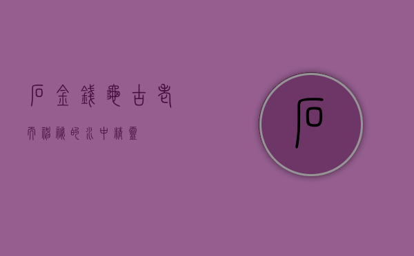 石金钱龟，古老而神秘的水中精灵