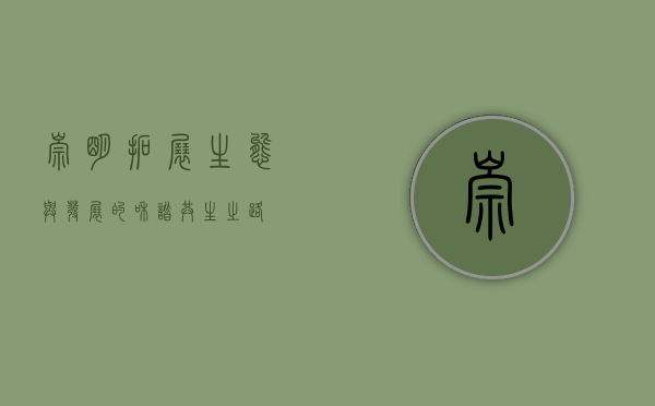 崇明拓展，生态与发展的和谐共生之路