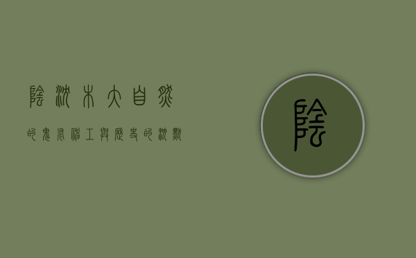 阴沉木，大自然的鬼斧神工与历史的沉默见证