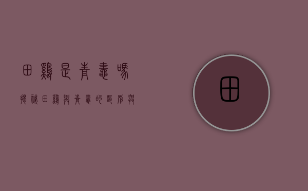 田鸡是青蛙吗？揭秘田鸡与青蛙的区别与联系