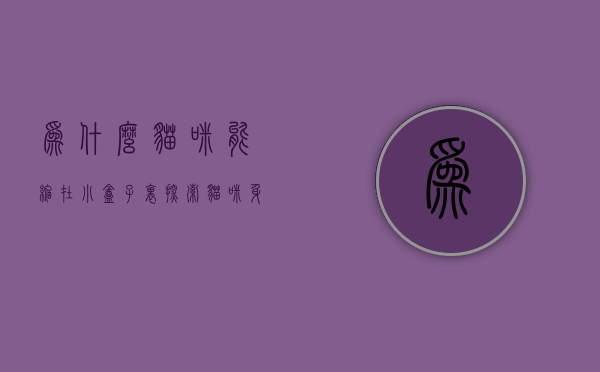 为什么猫咪能缩在小盒子里?探索猫咪身体的奥秘与行为心理 为什么猫咪能缩在小盒子里?探索猫咪身体的奥秘与行为心理
