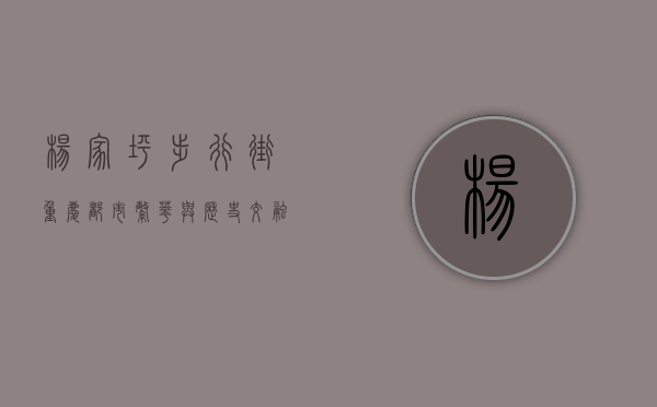 杨家坪步行街，重庆都市繁华与历史交融的缩影