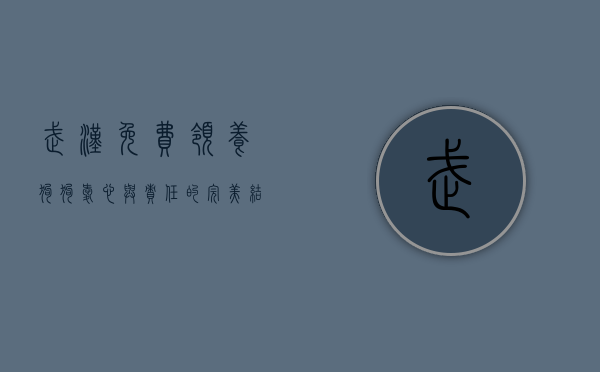武汉免费领养狗狗，爱心与责任的完美结合
