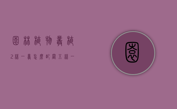 园林植物丛植2株一丛怎么配置（五株一丛植物组合方式）