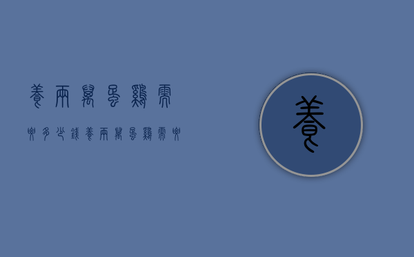 养两万蛋鸡需要多少钱（养两万蛋鸡需要多少钱一只）