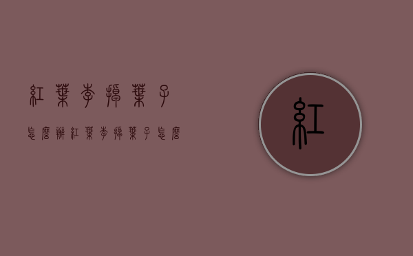 红叶李掉叶子怎么办（红叶李掉叶子怎么回事）