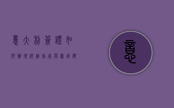 意大利签证如何办理，详细指南与实用建议