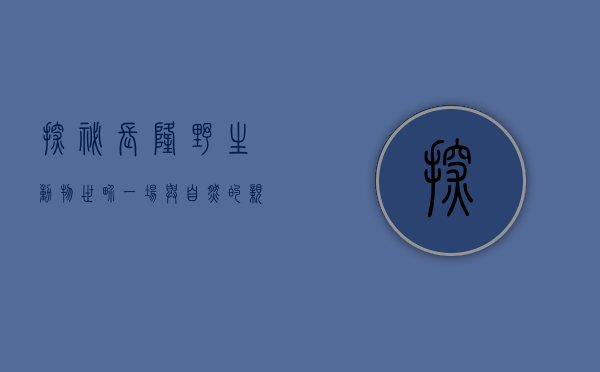 探秘长隆野生动物世界，一场与自然的亲密邂逅