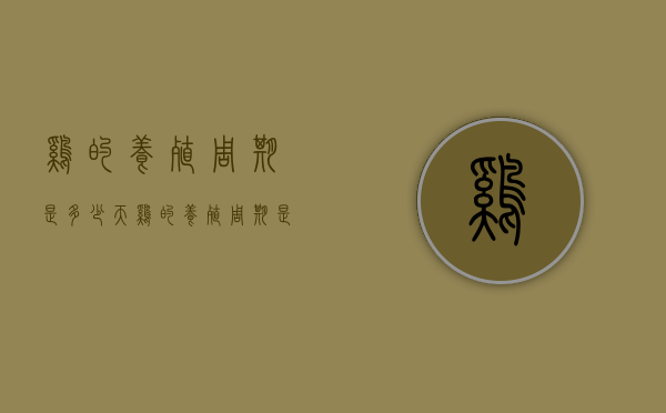 鸡的养殖周期是多少天（鸡的养殖周期是多少天啊）