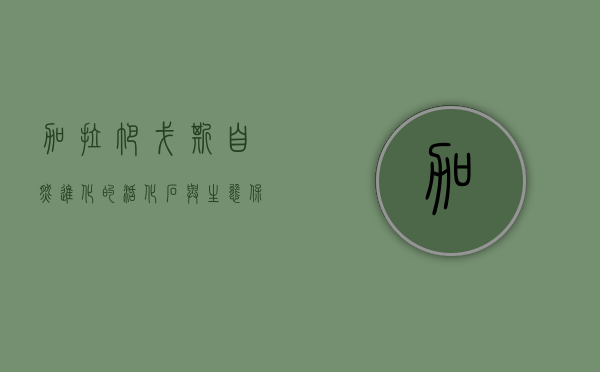 加拉帕戈斯，自然进化的活化石与生态保护的灯塔