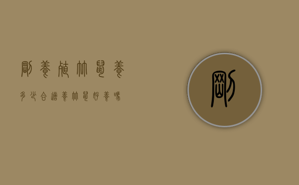 刚养殖竹鼠养多少合适（养竹鼠好养吗）