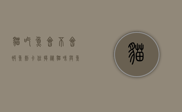 猫吃鱼会不会被鱼刺卡住?揭秘猫咪与鱼刺的真相 猫吃鱼会不会被鱼刺卡住?揭秘猫咪与鱼刺的真相