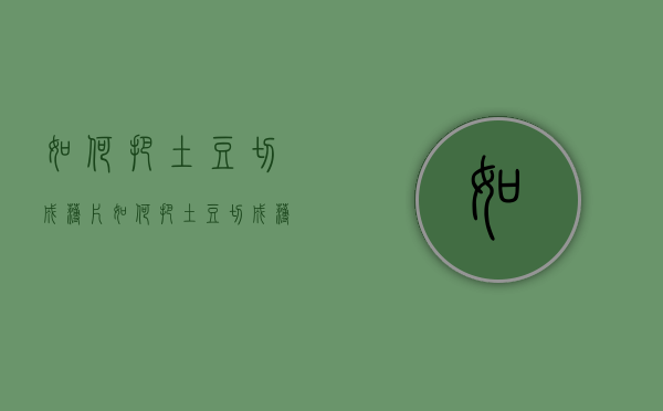 如何把土豆切成薄片（如何把土豆切成薄片图片）