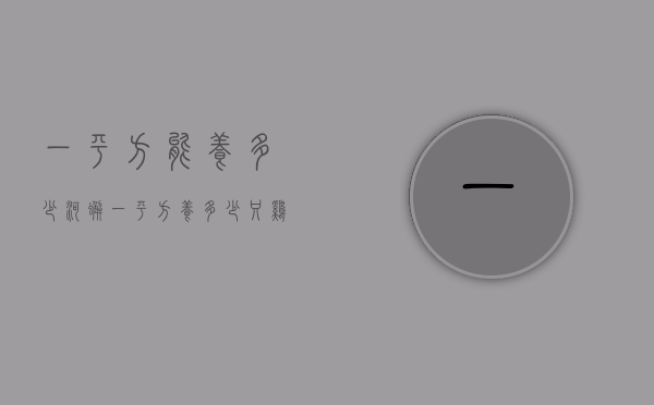 一平方能养多少河蟹（一平方养多少只鸡合适）