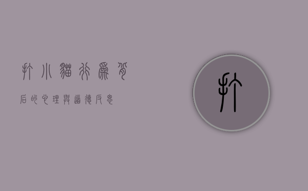 打小猫，行为背后的心理与道德反思
