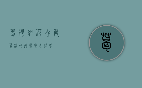 葛根如何去皮（葛根的皮需要去掉吗?）