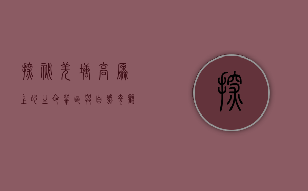 探秘羌塘，高原上的生命禁区与自然奇观