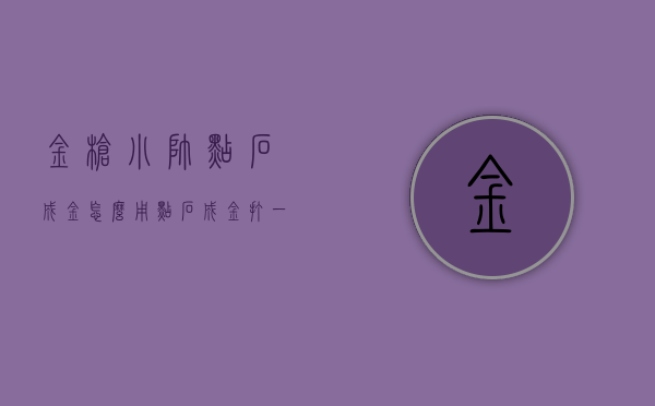 金枪小帅点石成金怎么用（点石成金打一个人物）