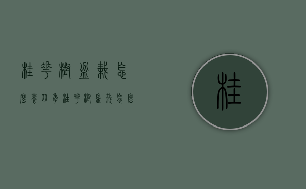 桂花树盆栽怎么养（四季桂花树盆栽怎么养）