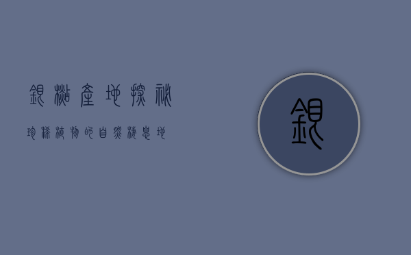 银杉产地探秘，珍稀植物的自然栖息地