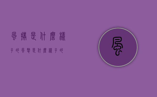 风扑是什么样子的（风氅是什么样子的）