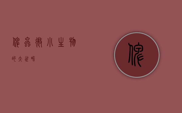 俾虫，微小生物的大世界