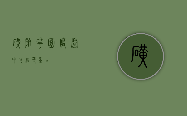 矿坑花园，废墟中的绿色重生