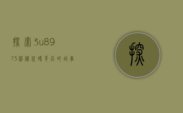 探索3u8973，神秘代码背后的故事与启示