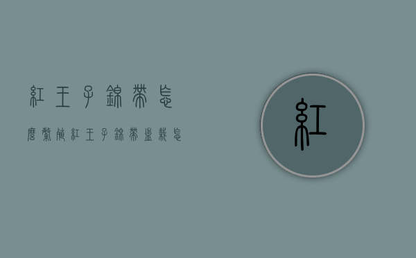 红王子锦带怎么繁殖（红王子锦带盆栽怎么养）